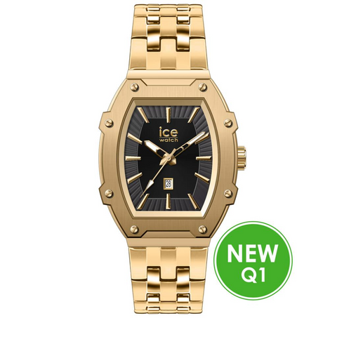 ICE boliday - Black - Full steel - Small - ref 024551